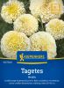 Tagetes erecta 
