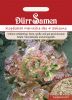 Kopfsalat "Merveille des 4 saisons" - Lactuca sativa