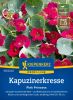 Tropaeolum minus "Pink Princess" - Kapuzinerkresse