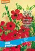 Linum grandiflorum - Roter Lein (Bio-Samen)