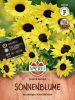 Helianthus debilis "Soluna Lemon" - Sonnenblume