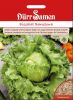 Eissalat "Barcelona" - Lactuca sativa