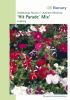 Petunia grandiflora "Hit Parade F1 Mischung" - Petunia