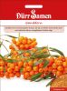Hippophae rhamnoides - Sanddorn