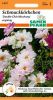 Cosmos bipinnatus "Double Click Mix" - Schmuckkrbchen