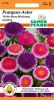 Callistephus chinensis "Hi-No-Maru Mix" - Pompon-Aster