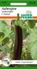 Aubergine 