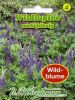 Lupinus perennis - Wildlupine