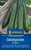 Salatgurke "Gergana" - Cucumis sativus