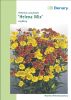 Helenium autumnale 