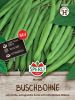 Buschbohne "Martini" Phaseolus vulgaris