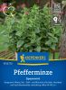 Pfefferminze "Spearmint" - Mentha spicata