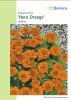 Tagetes patula 