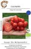 Reisetomate 