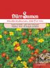Tagetes tenuifolia 