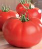 Fleischtomate 