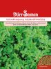 Alexandrinerklee - Trifolium alexandrinum