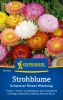 Helichrysum bracteatum "Mischung" - Strohblume