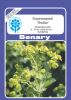 Alchemilla mollis 