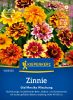 Zinnia angustifolia 