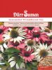 Echinacea purpurea "Primadonna Mix" - Echter Sonnenhut