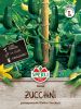 Kletterzucchini "Quine F1" - Cucurbita pepo