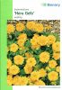 Tagetes patula "Hero Gelb" - Studentenblume