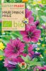 Malva sylvestris ssp. mauritiana - Mauretanische Male, Groe Ksepappel (Bio)