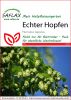 Humulus lupulus - Echter Hopfen