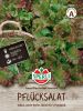 Pflcksalat "Amerikanischer brauner" - Lactuca sativa var. crispa