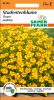 Tagetes tenuifolia "Gnom" - Studentenblume