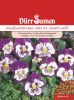 Viola wittrockiana "Cats F1 Violett-Wei" - Stiefmtterchen