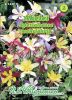Aquilegia caerulea "Spezialrasse" - Akelei
