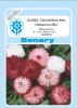 Bellis perennis "Habanera Mix" - Tausendschnchen, Gnseblmchen
