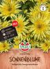 Helianthus annuus "Lemon Cutie" - Sonnenblume