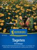 Tagetes patula 
