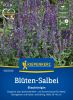 Salvia nemorosa (x superba) 