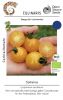 Cocktailtomate "Sunviva" - Solanum lycopersicum (Bio-Samen)