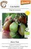 Pflaumen-Cocktail-Tomate "Black Plum" - Solanum lycopersicum (Bio-Samen)