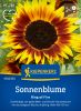 Helianthus annuus "Ring of Fire" - Sonnenblume