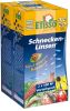 Etisso Schnecken-Linsen