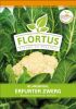 Blumenkohl "Erfurter Zwerg" - Brassica oleracea var. botrytis