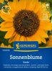 Helianthus annuus "Sonja" - Sonnenblume