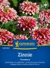 Zinnia elegans "Flamenco" - Zinnie