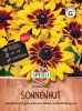Rudbeckia hirta "Denver Daisy" - Sonnenhut