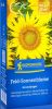 Feldsonnenblume - Helianthus annuus