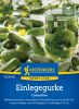 Einlegegurke "Corentine F1" - Cucumus sativus
