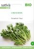 Stngelkohl "Cima die Rapa" - Brassica rapa var. cymosa (Bio-Samen)