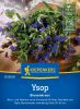 Ysop 