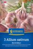 Winterpflanzknoblauch "Germidrome" - Allium sativum